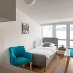 Apartment Sun Valley Holiday Apartments Maishofen