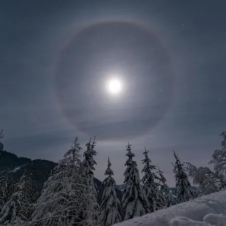 Appartement Sun Valley