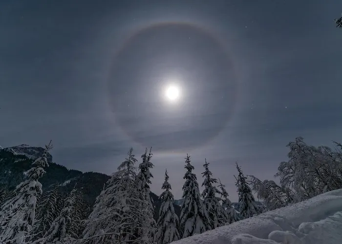 Lejlighed Sun Valley